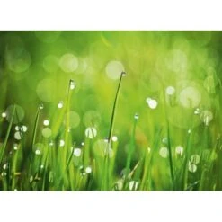 Eurographics Kitchen Glas SpritzschutzGreen Morning II 65cm X 90 Cm -Küche Zu Hause 561830 1041 dgs dt40091 1